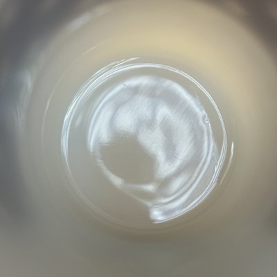画像4: ピクニック　茶