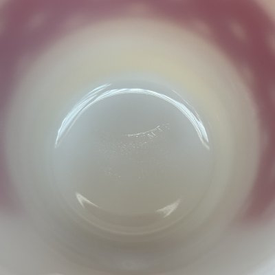 画像4: ピクニック　赤