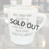 フロリダ(ジョークマグ）