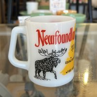 ニューファンドランド島