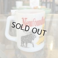 ニューファンドランド島