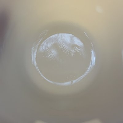 画像4: レギオン