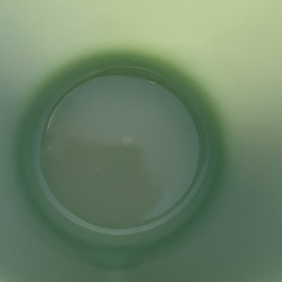 画像4: ジェダイ2