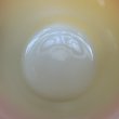 画像5: ノースウエスタンバンク　橙・黄　 (5)