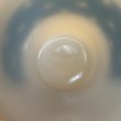画像4: ピクニック　水色 (4)